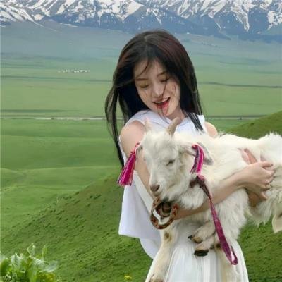七侠五义之五鼠闹东京